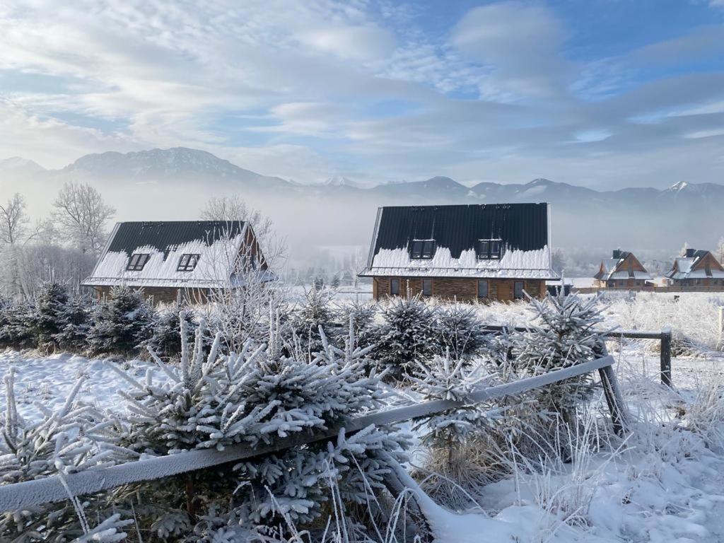 Tatra Twin House