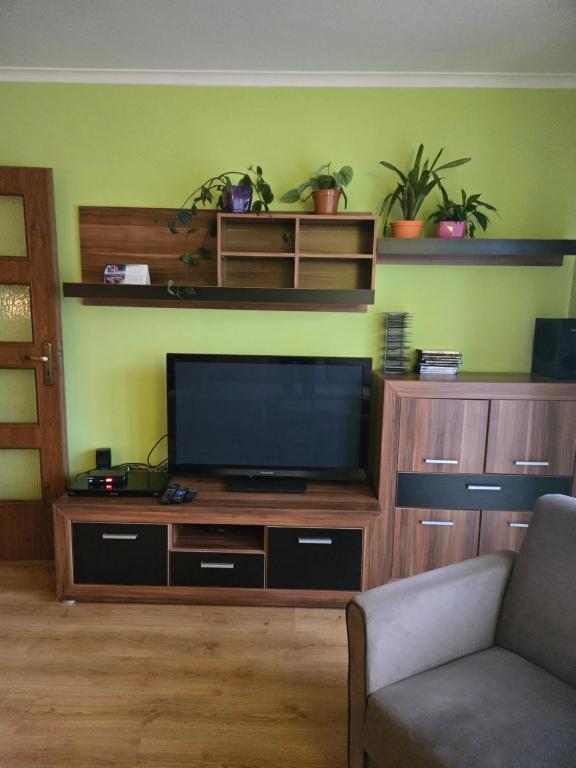 Apartament u Mani