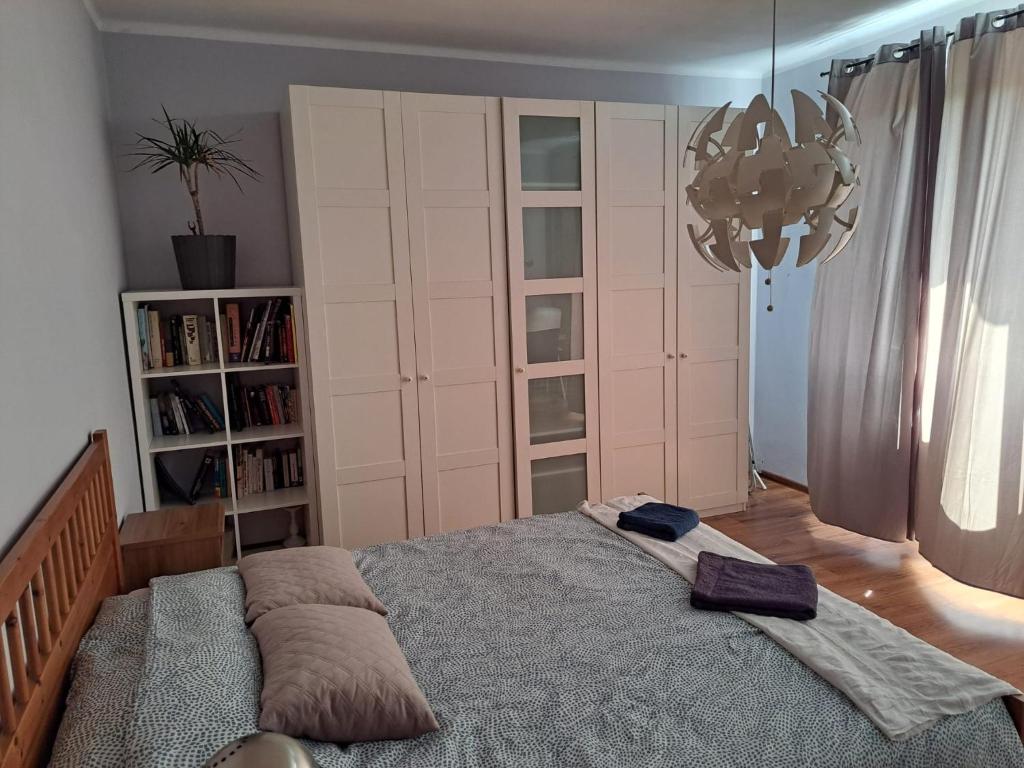 Comfortable Apartment close to Spodek